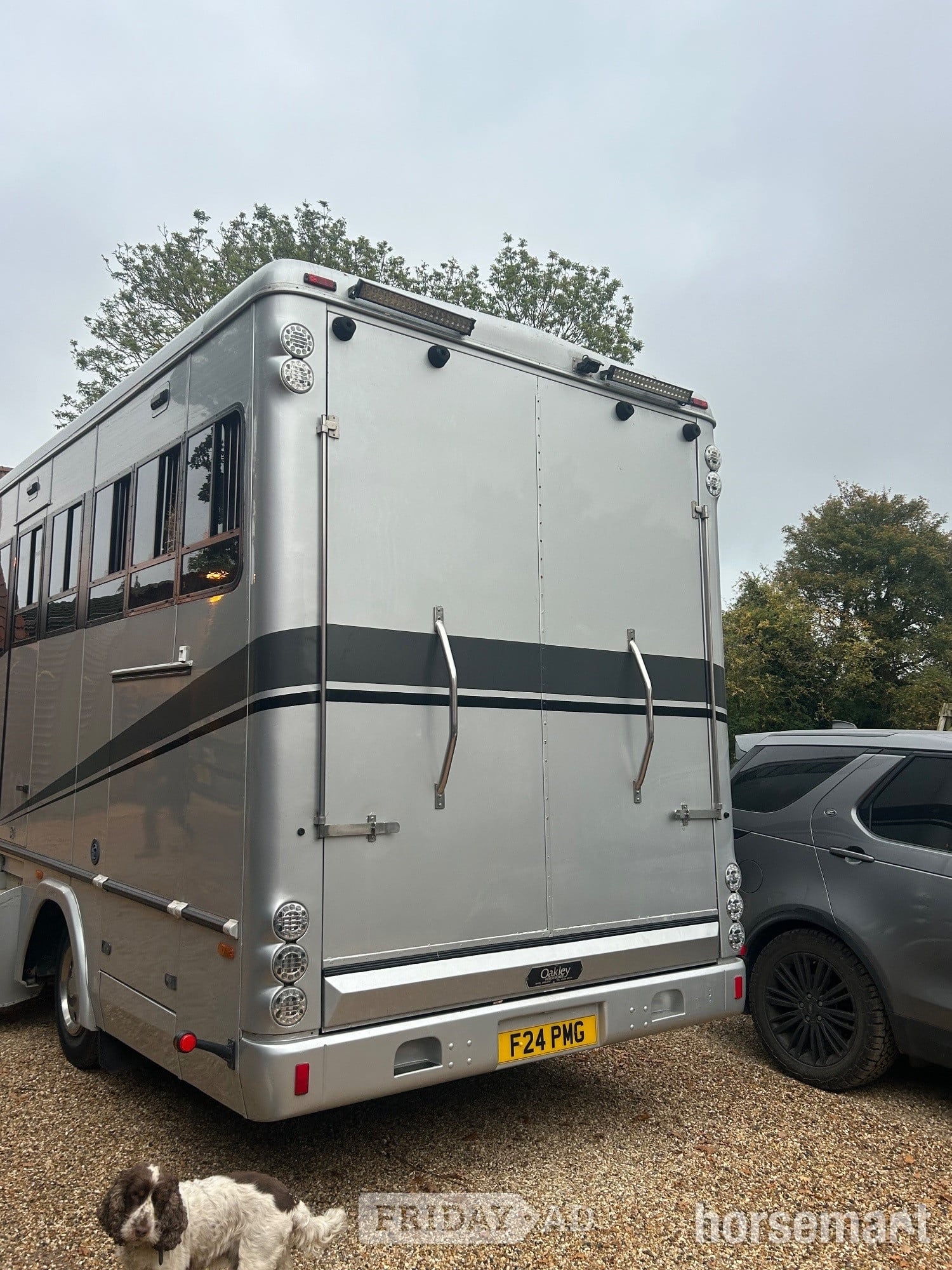 Oakley Supreme DAF Horsebox - Trailers & Horseboxes in Barham