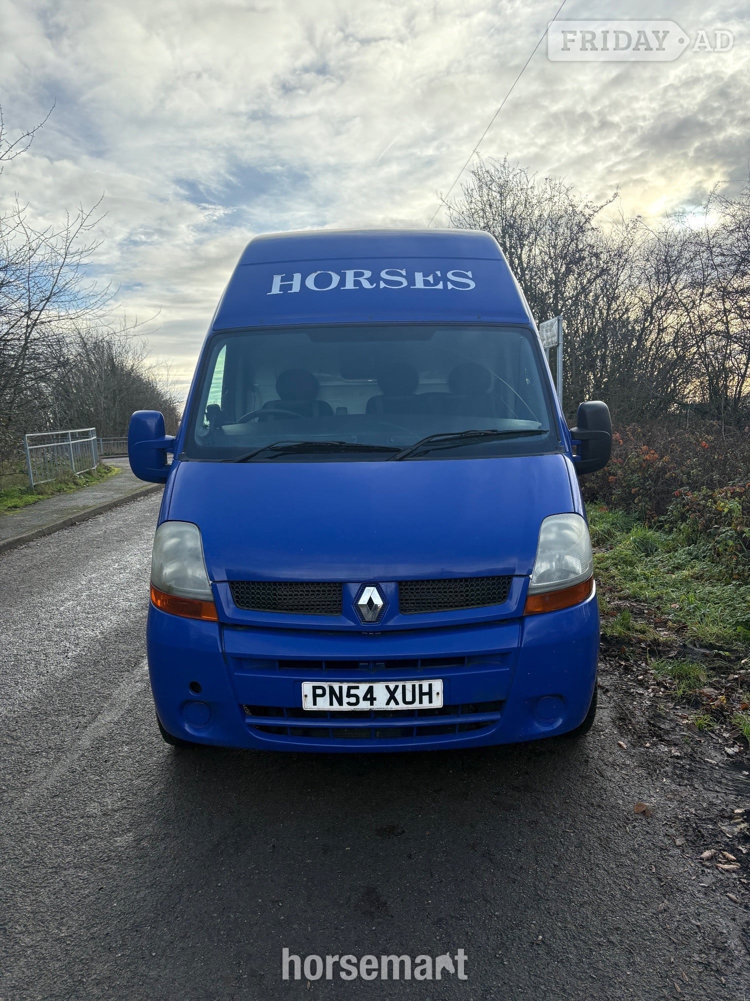 Custom  Renault Horsebox in Selston