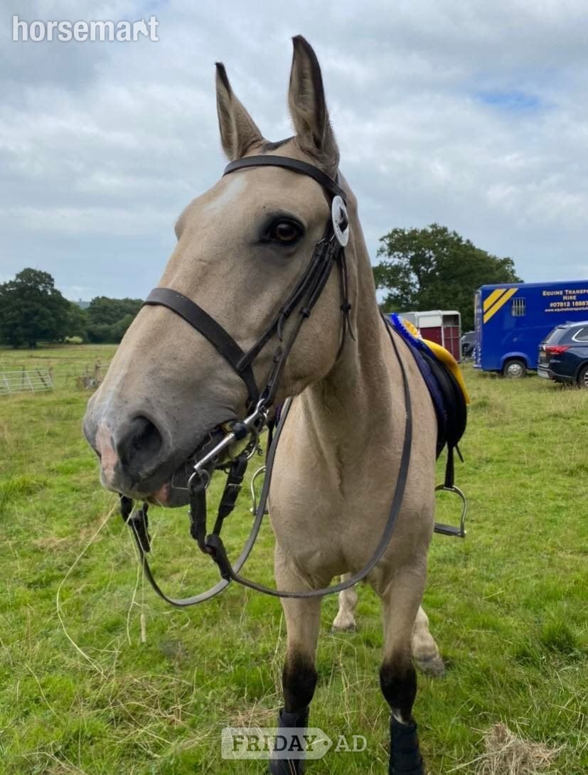 Sharer required for beautiful hacking on the Ashdown Forest 