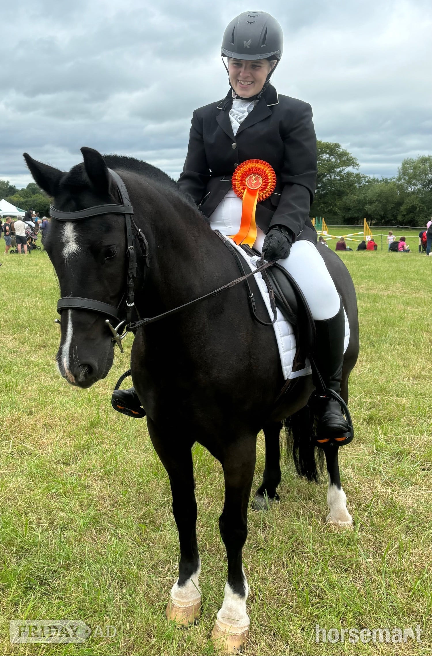 "Cedrick " Black Gelding All Rounder