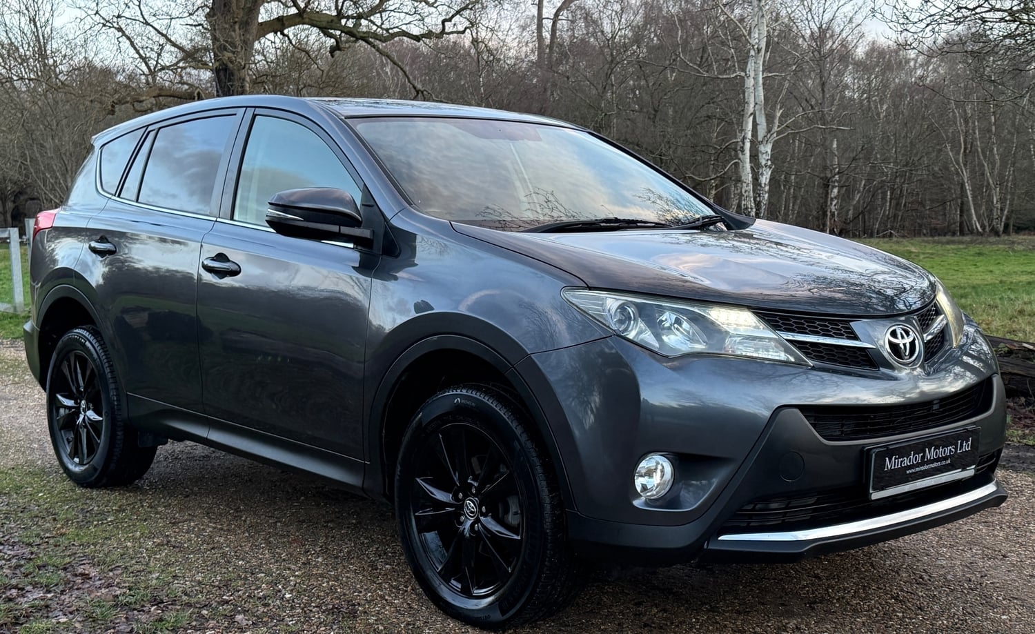 Toyota RAV4 Slough