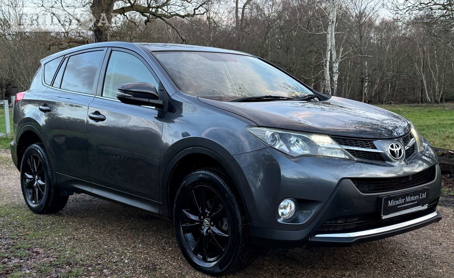 Toyota RAV4 Slough