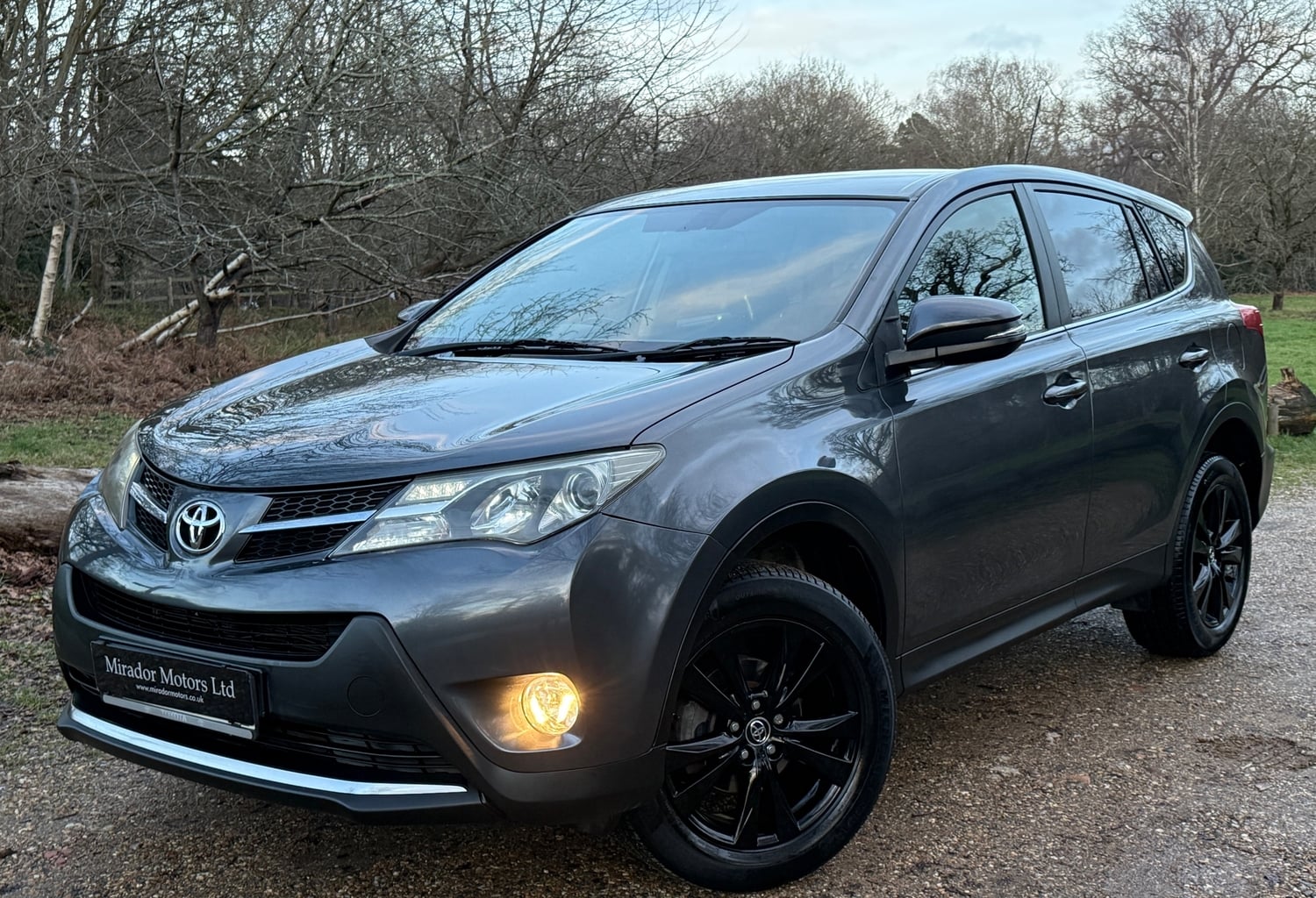 Toyota RAV4 2014 - Cars