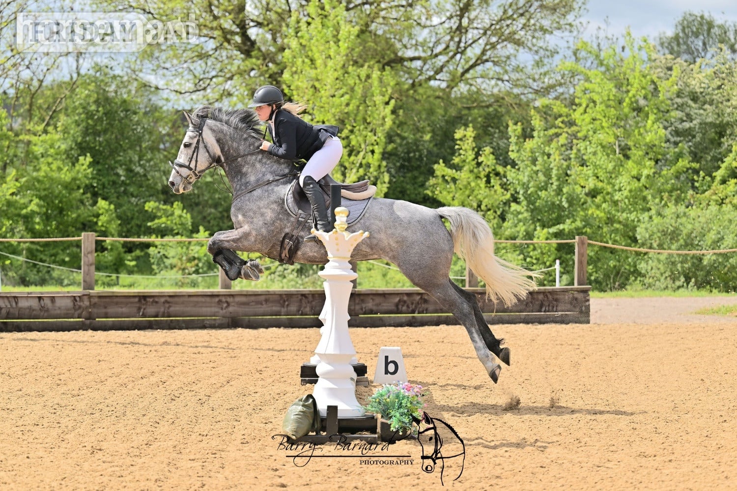 Stoke "Rosie " Grey Mare All Rounder