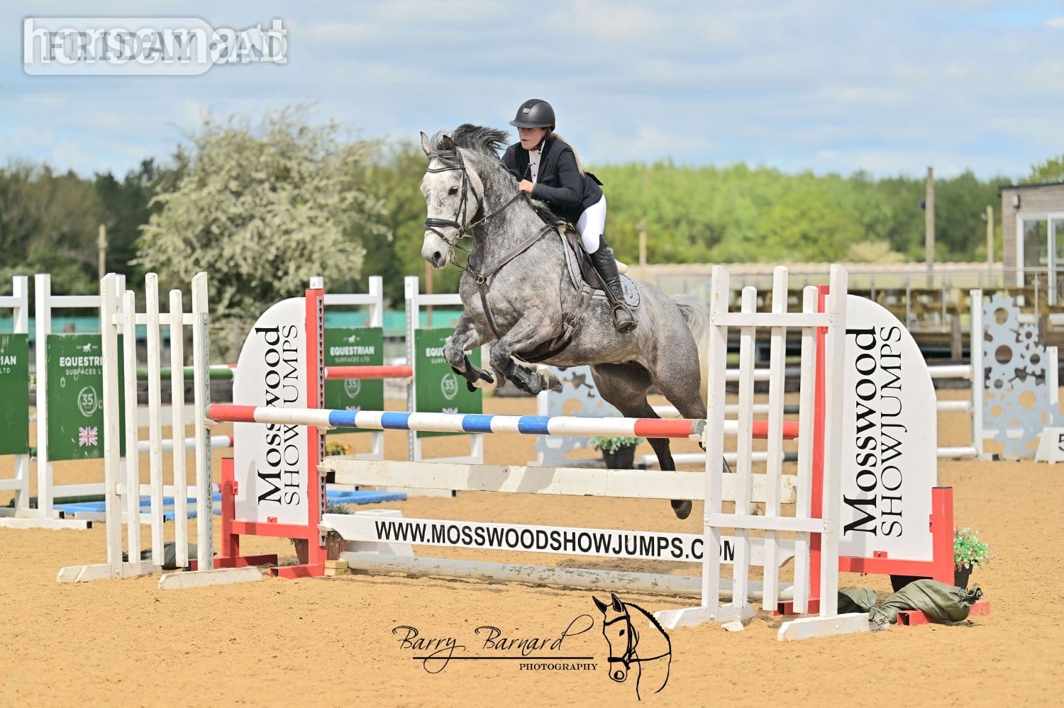 "Rosie " Grey Mare All Rounder - Horses in Stoke