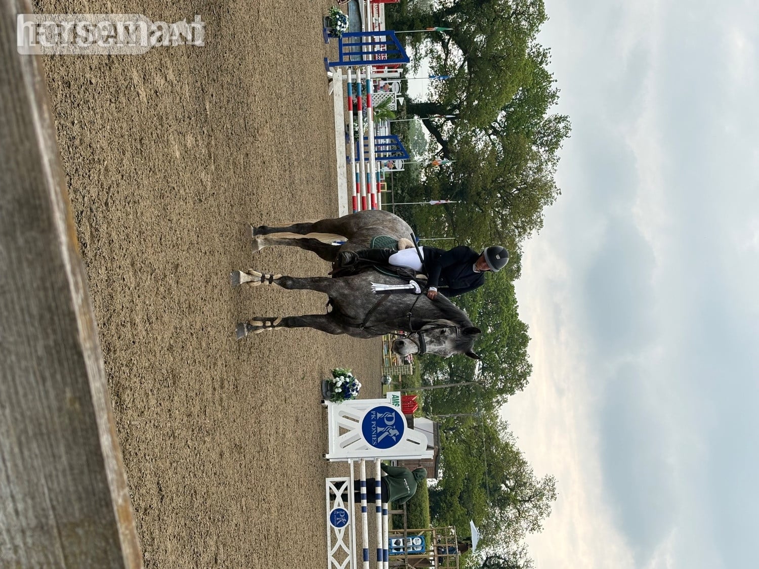 "Rosie " Grey Mare All Rounder - Horses