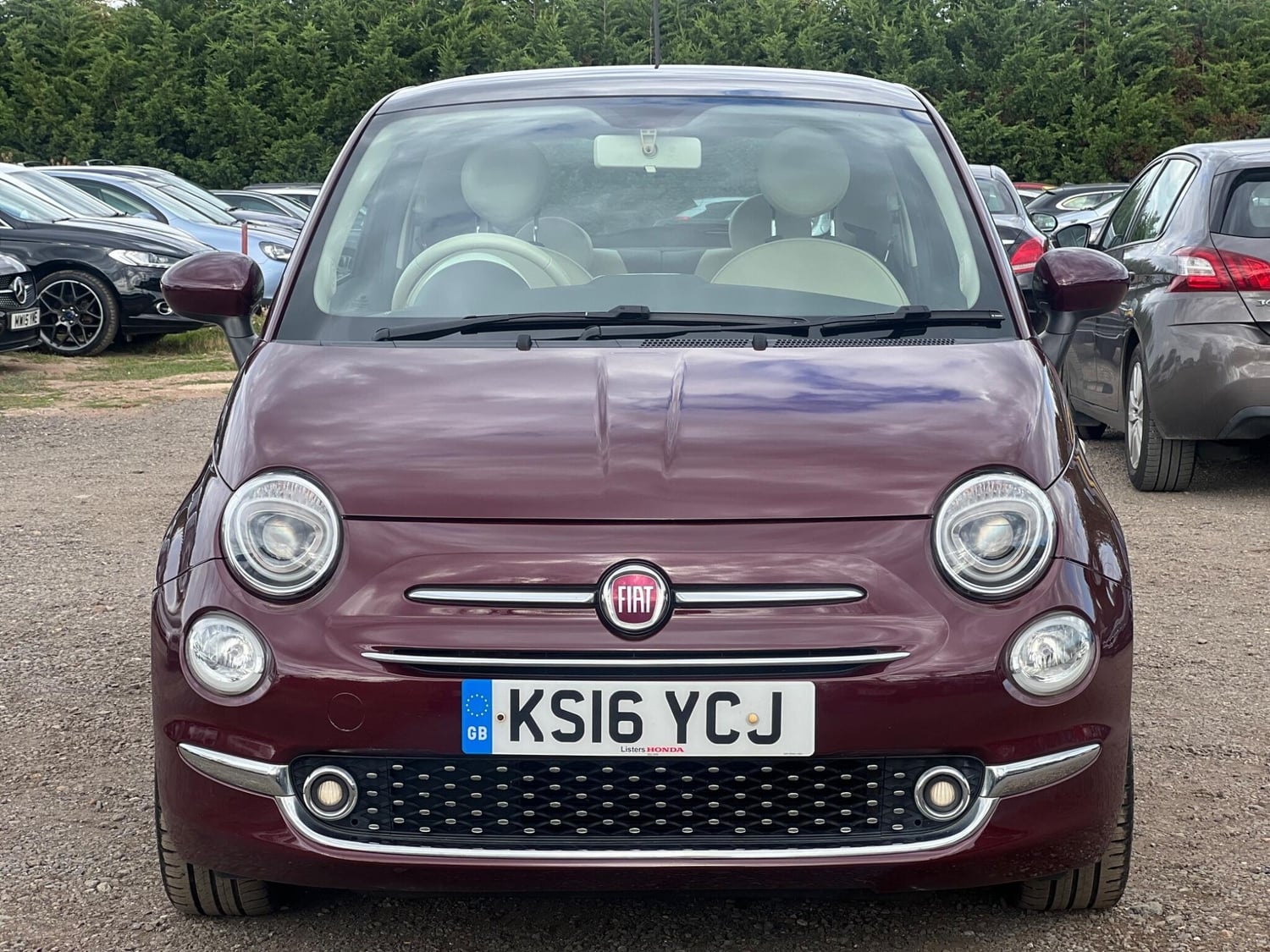 [ berth ]Fiat 500