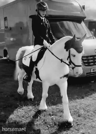 Lovely 12.3 cob fpr full loan for view to buy