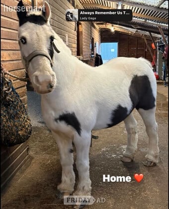 Lovely 12.3 cob fpr full loan for view to buy