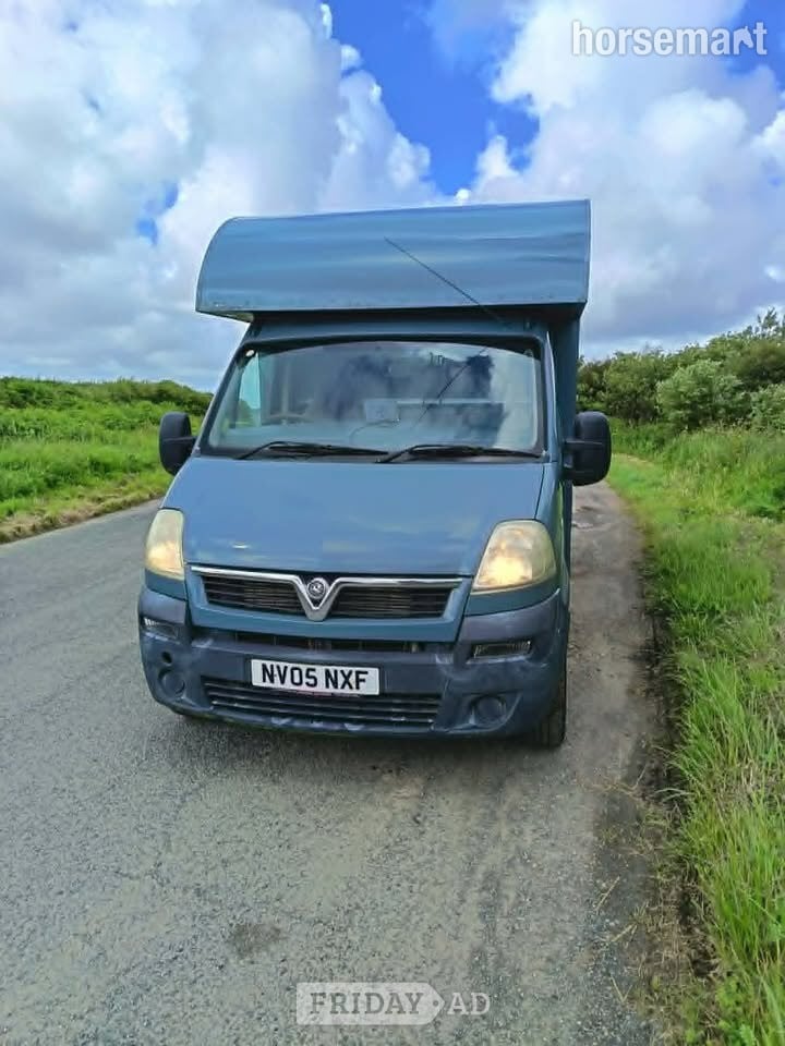 Custom  Vauxhall Movano Horsebox in Bude