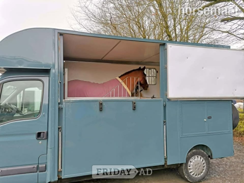 Custom  Vauxhall Movano Horsebox - Trailers & Horseboxes in Bude