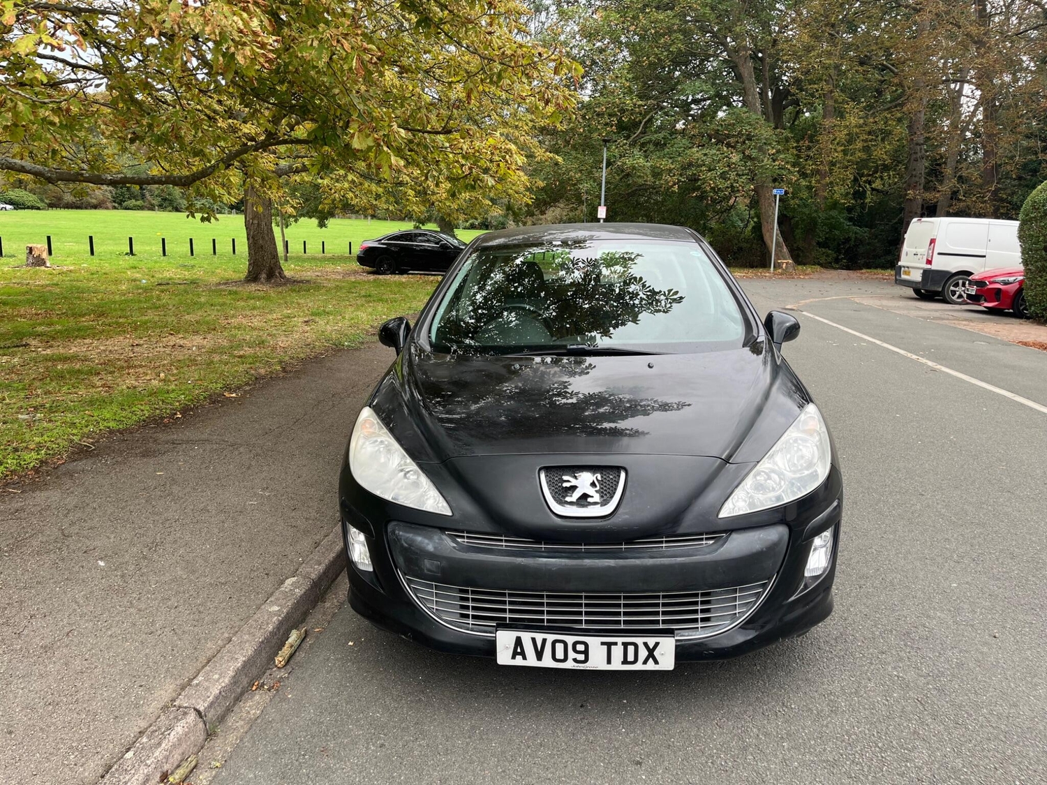 [ berth ]Peugeot 308