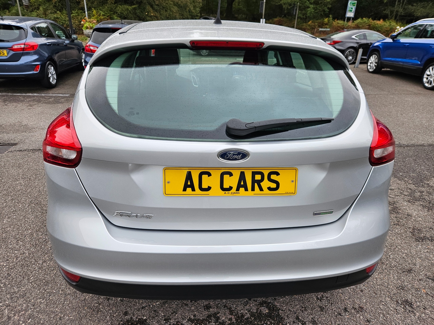 [ berth ]Ford Focus