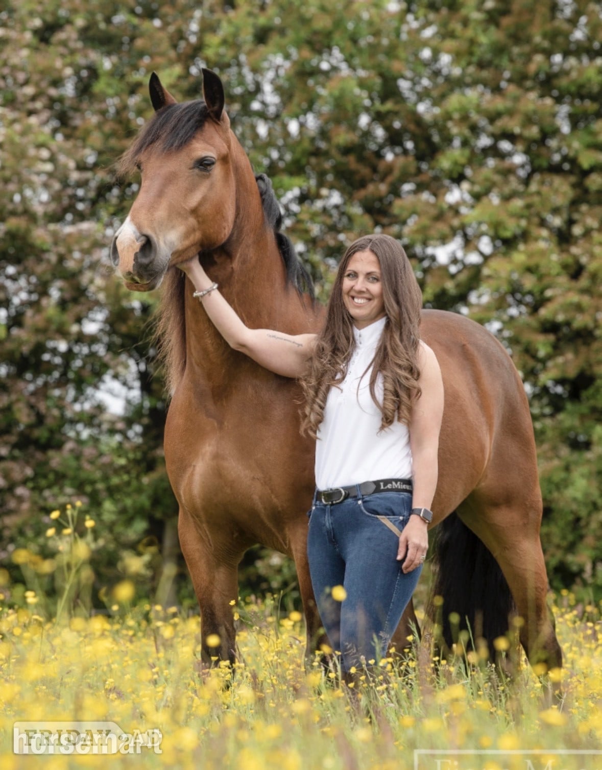 "Marty" Bay Gelding All Rounder in Cannock