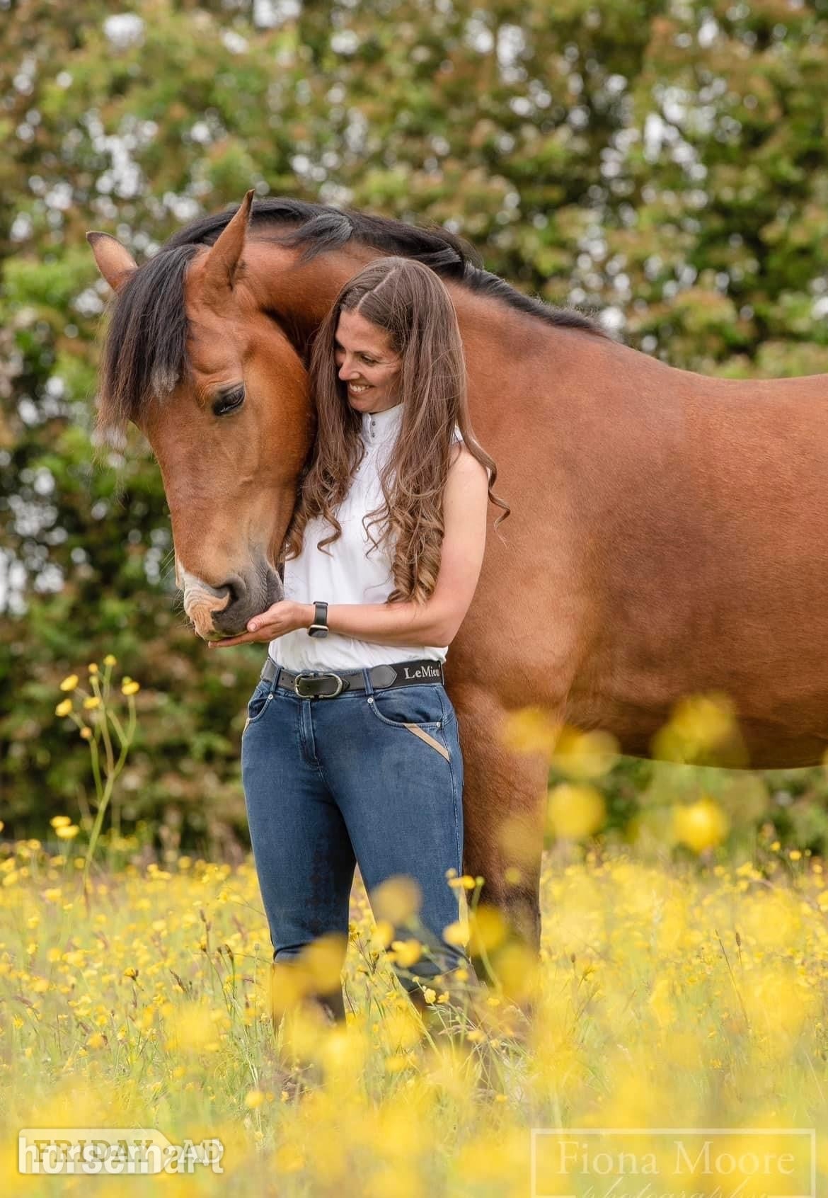 Cannock "Marty" Bay Gelding All Rounder