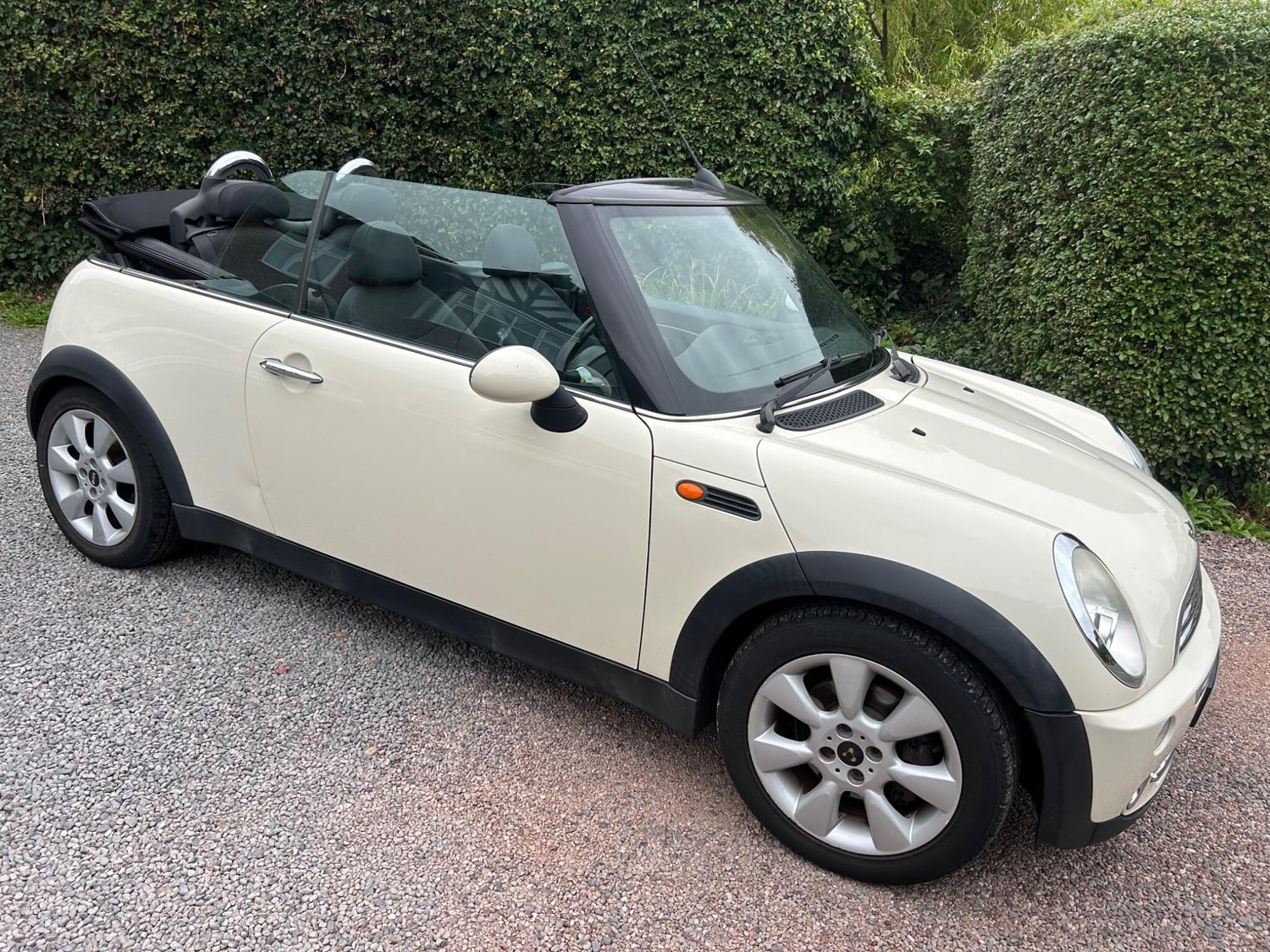 Mini Convertible Warwick