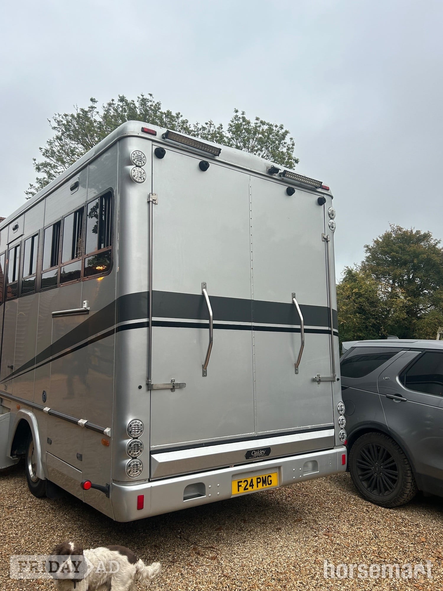 Oakley Supreme DAF Horsebox - Trailers & Horseboxes in Barham