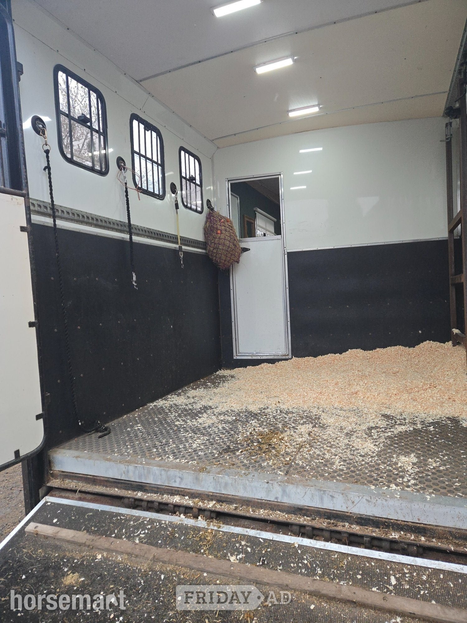 Minster  Iveco Horsebox in Milnthorpe