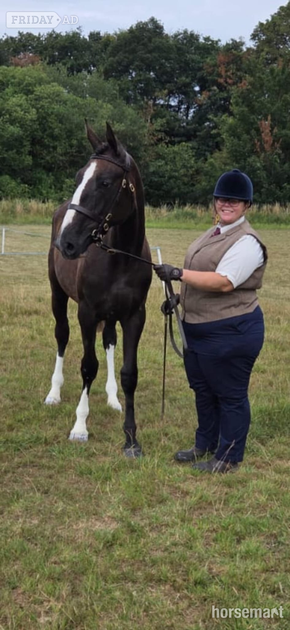 "Noughaval Missy" Grey Filly Youngstock / Foal