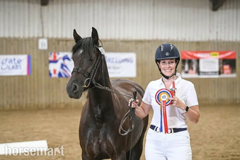 "Bronwyn " Dark Brown Mare Mountain & Moorland Pony