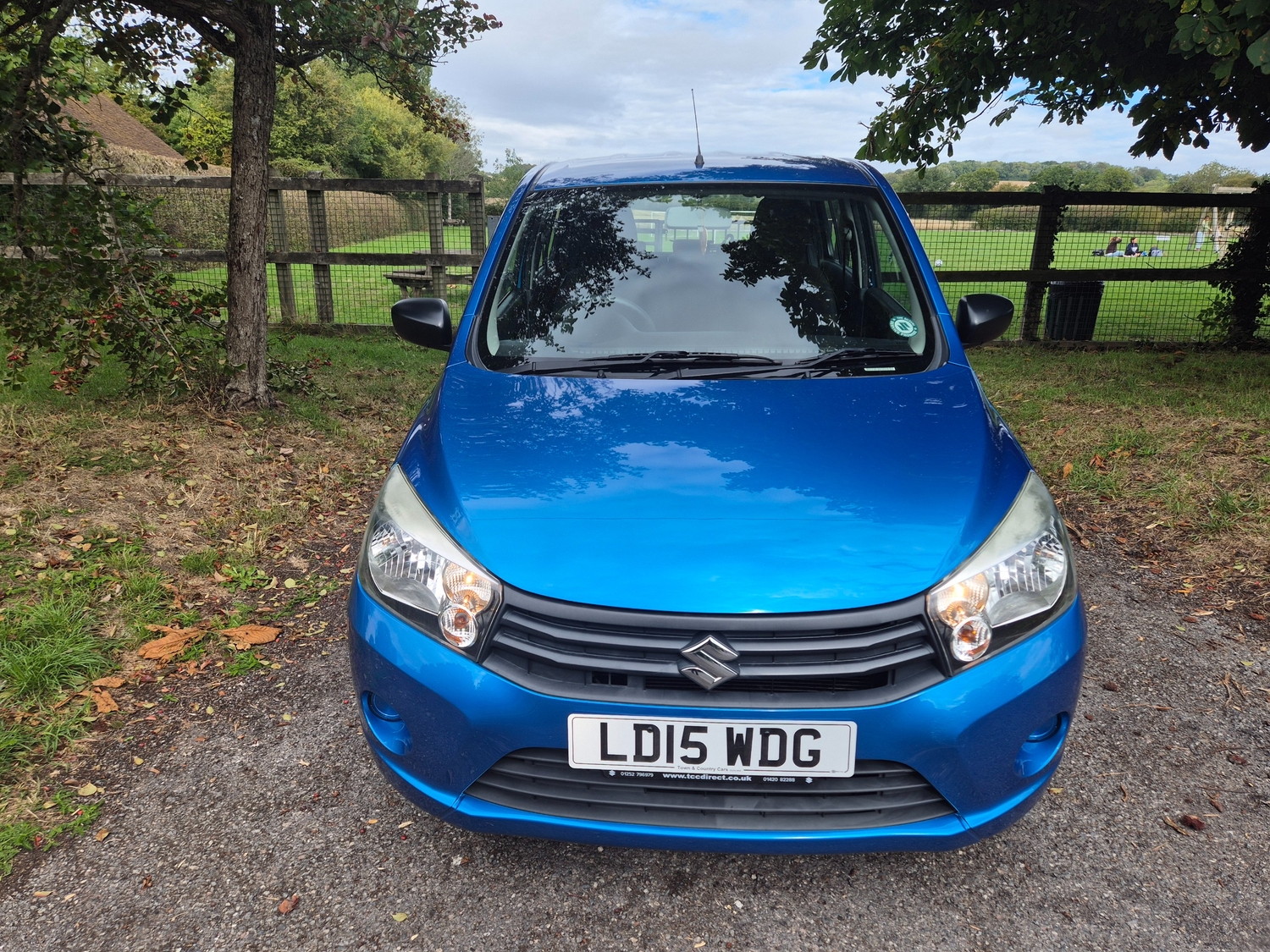 Suzuki Celerio Alton