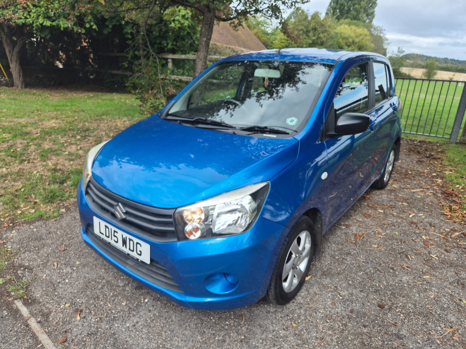 [ berth ]Suzuki Celerio
