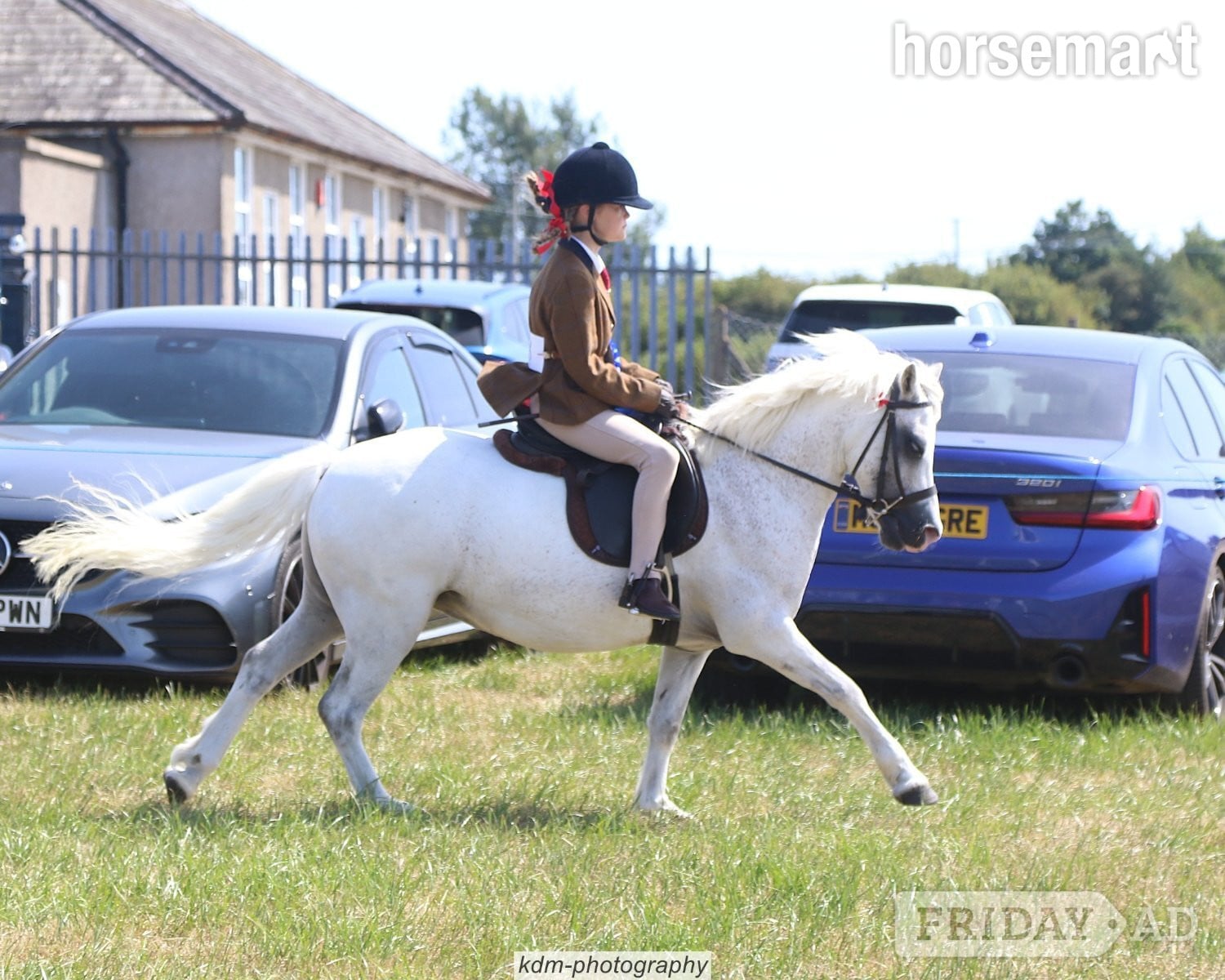 "Maesymor Mc Caw" Grey Gelding Lead Rein/First Ridden Pony in Swansea