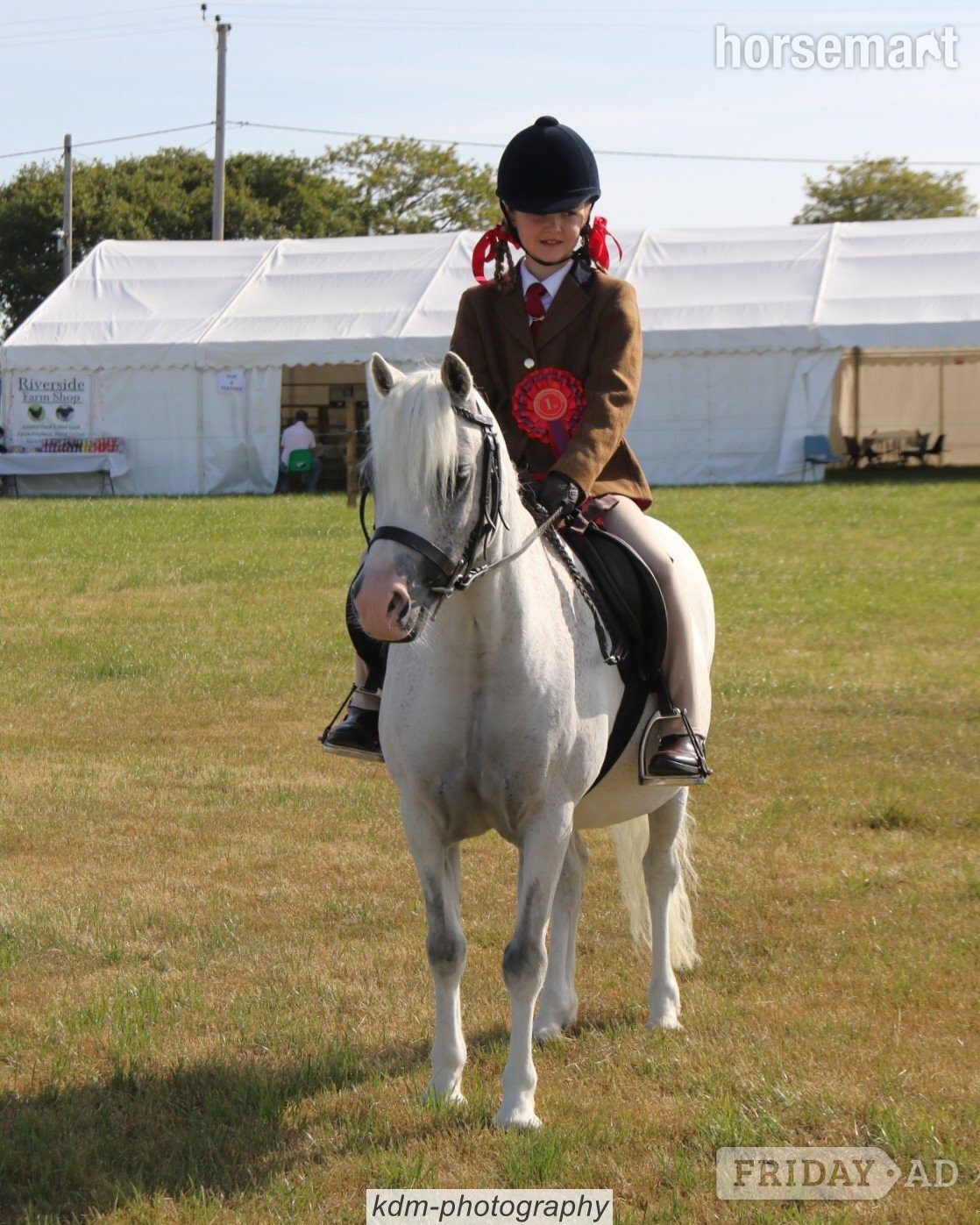 "Maesymor Mc Caw" Grey Gelding Lead Rein/First Ridden Pony