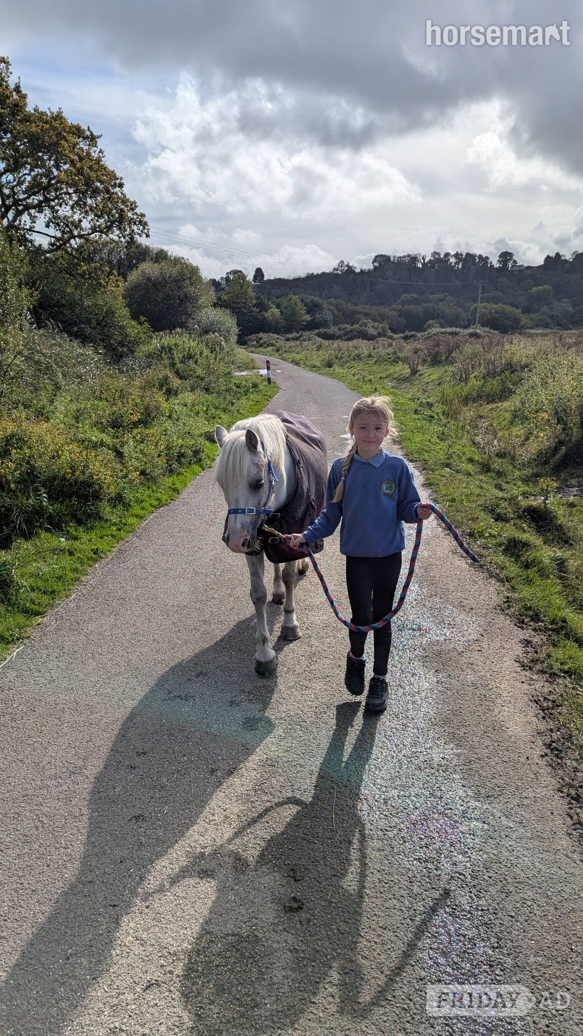 Swansea "Maesymor Mc Caw" Grey Gelding Lead Rein/First Ridden Pony