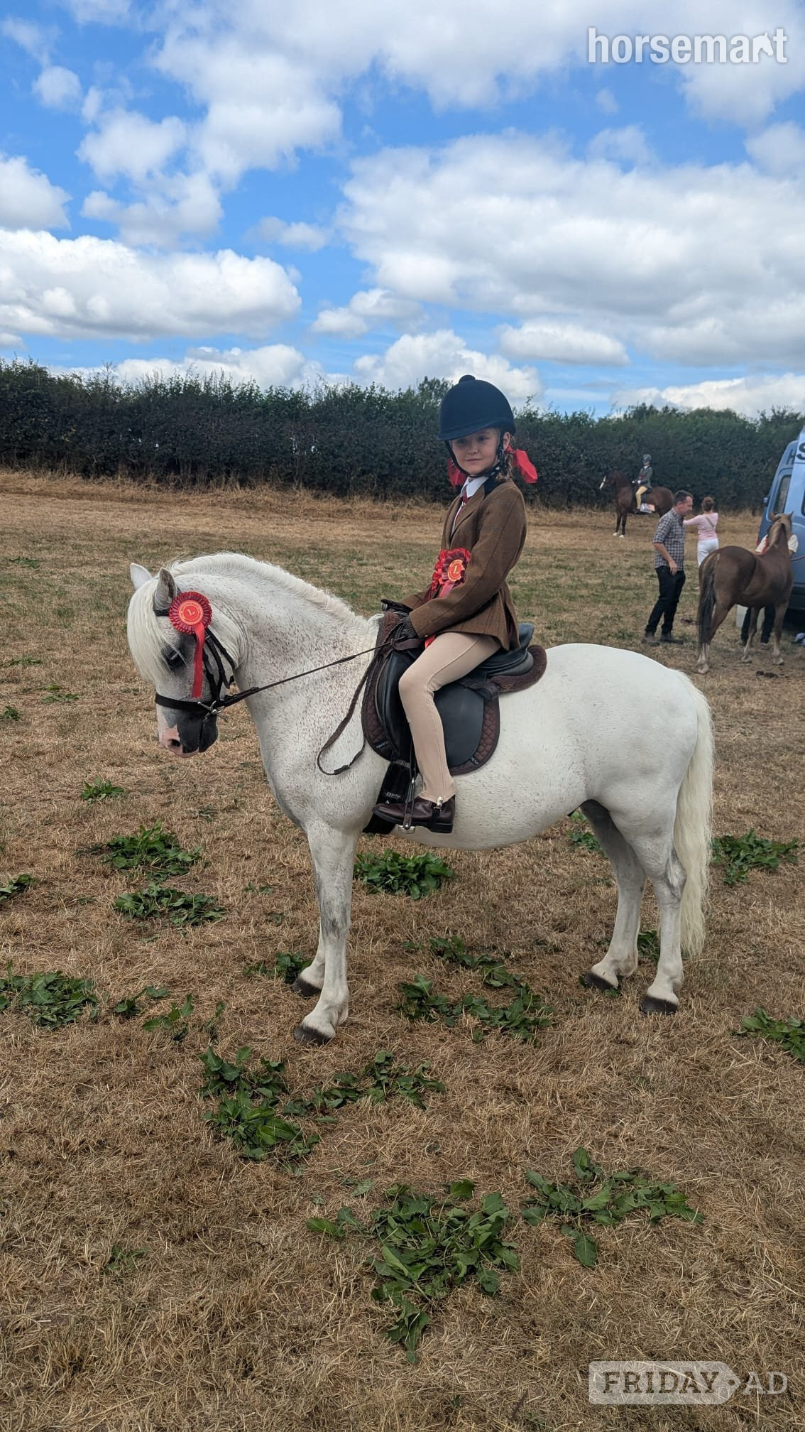 "Maesymor Mc Caw" Grey Gelding Lead Rein/First Ridden Pony - Horses