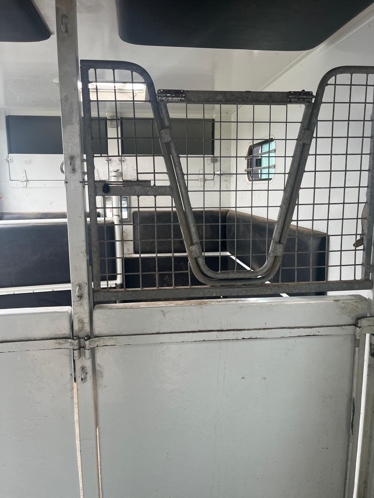 Theault  Renault Horsebox - Trailers & Horseboxes in Southwell