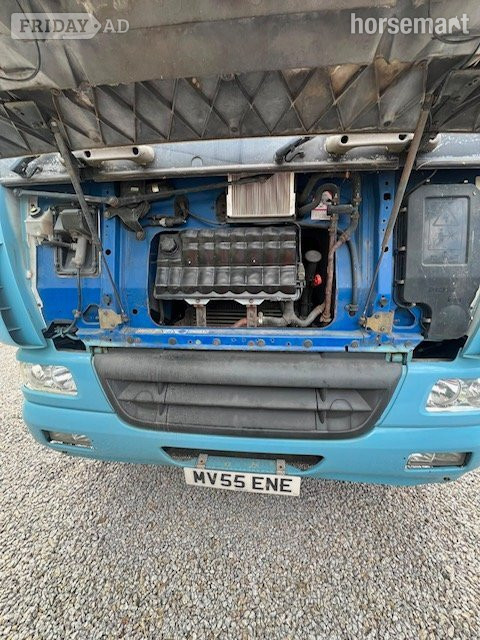 Custom  Daf Trucks Horsebox - Trailers & Horseboxes