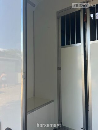 Select Pro Citroen Horsebox - Trailers & Horseboxes in Southwell