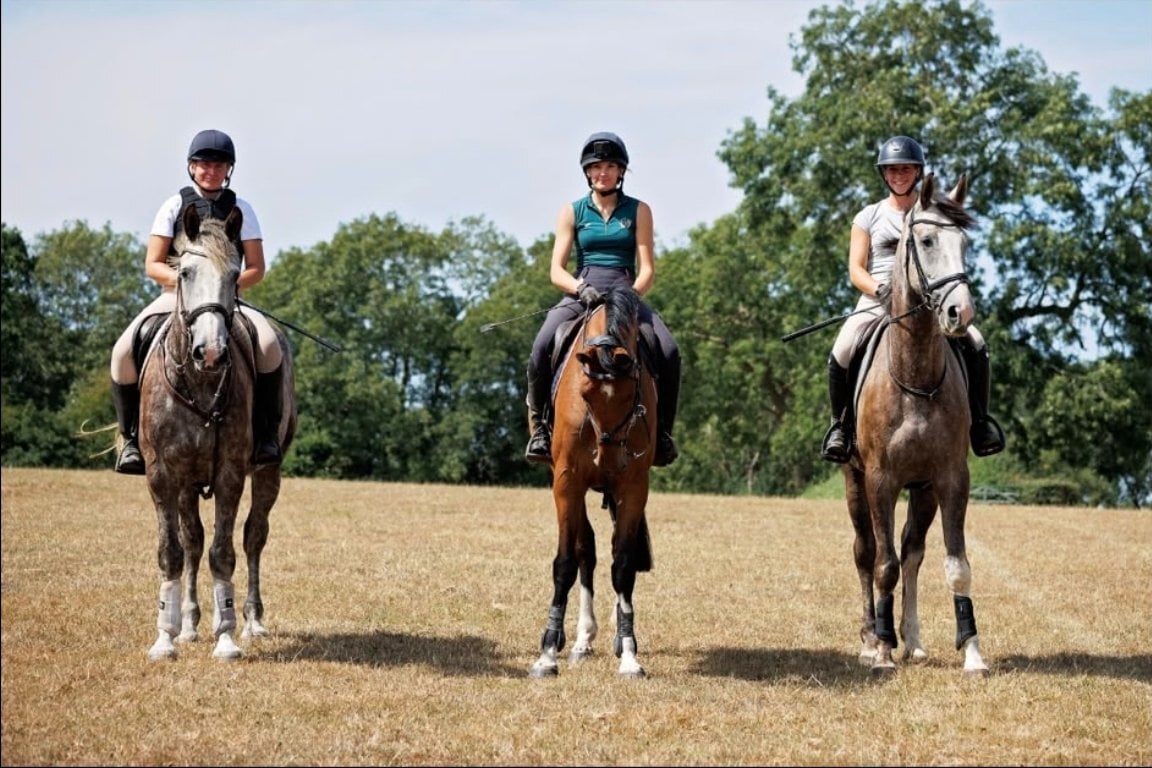 Cambridge "Rico" Dapple Grey Gelding All Rounder