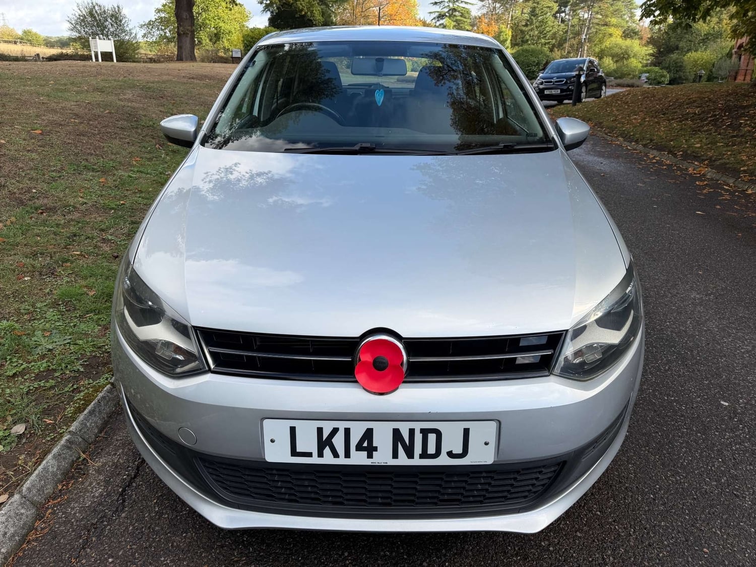 Volkswagen Polo Leatherhead