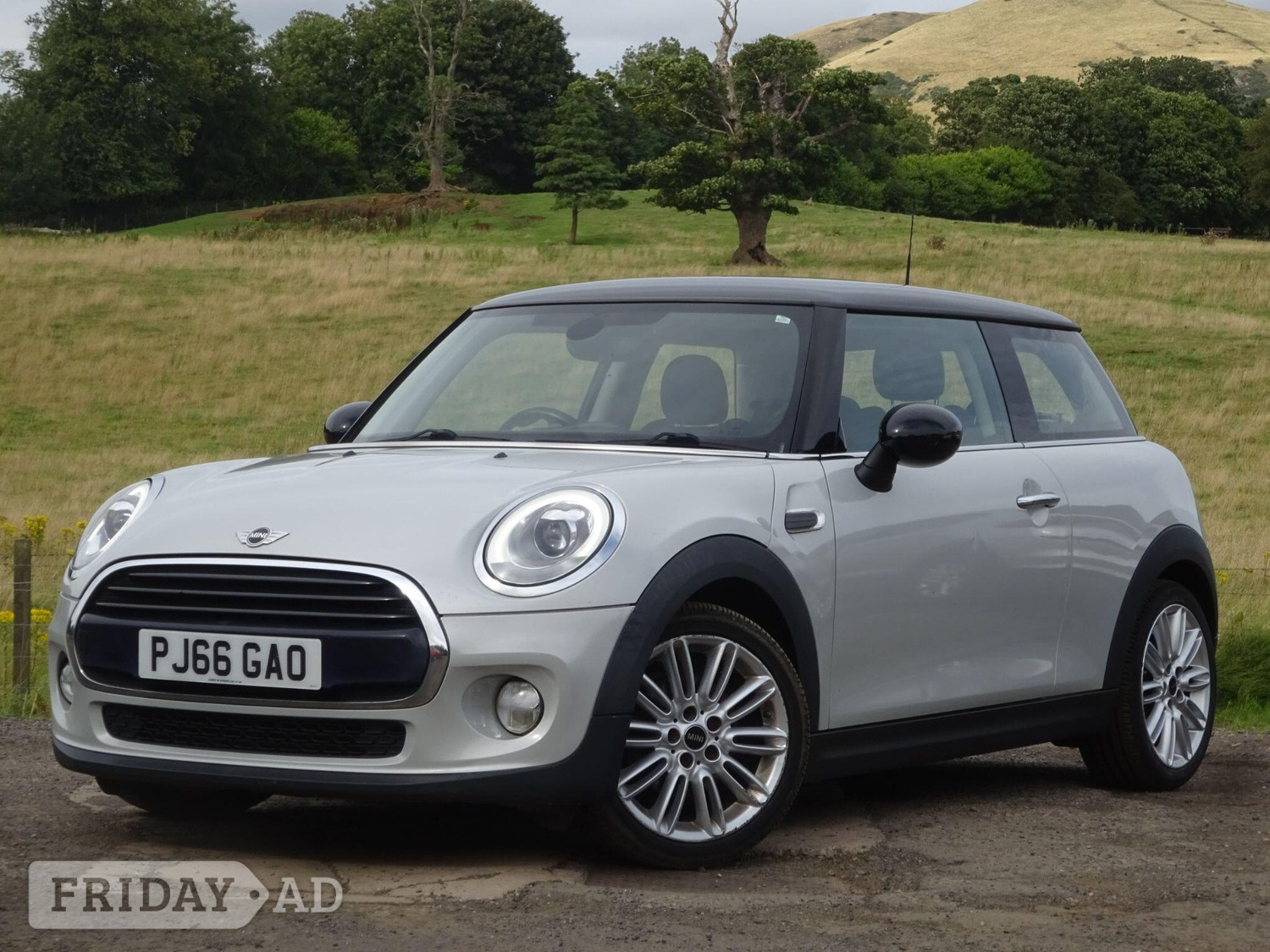 Mini Hatch Leven