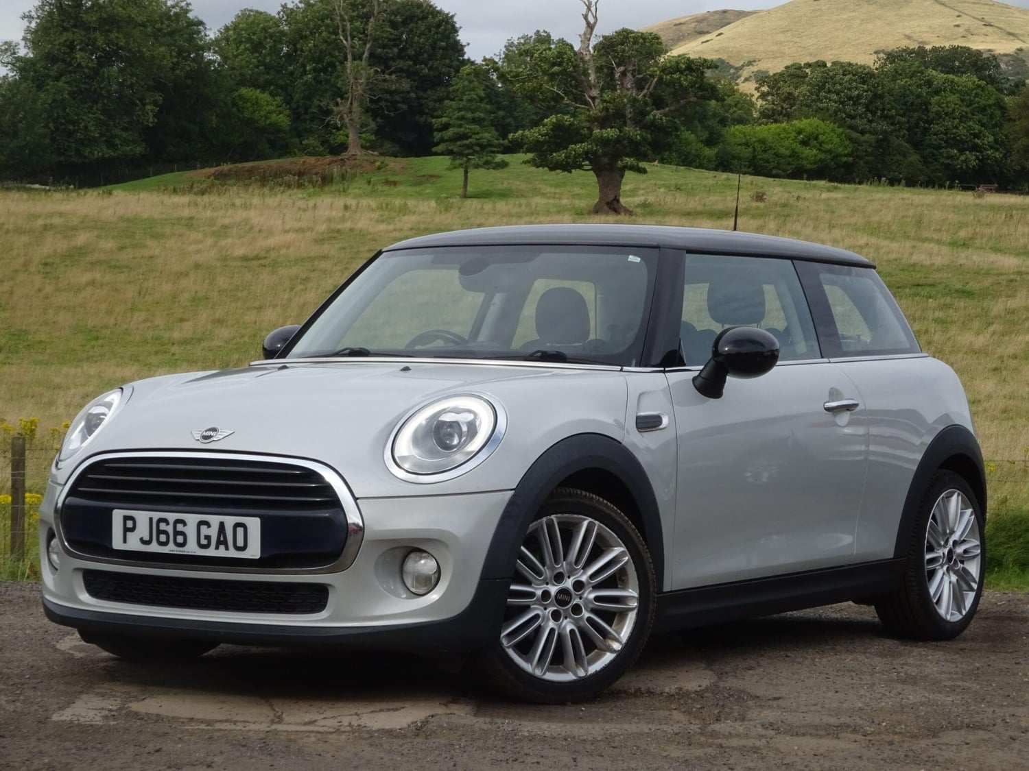 Mini Hatch Leven