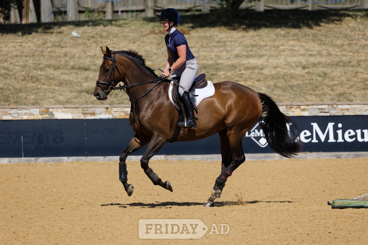 "Gettingawaywithit " Bay Gelding Ex Racehorse in Rugby