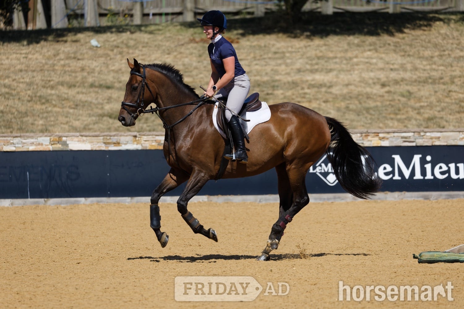"Gettingawaywithit " Bay Gelding Ex Racehorse in Rugby