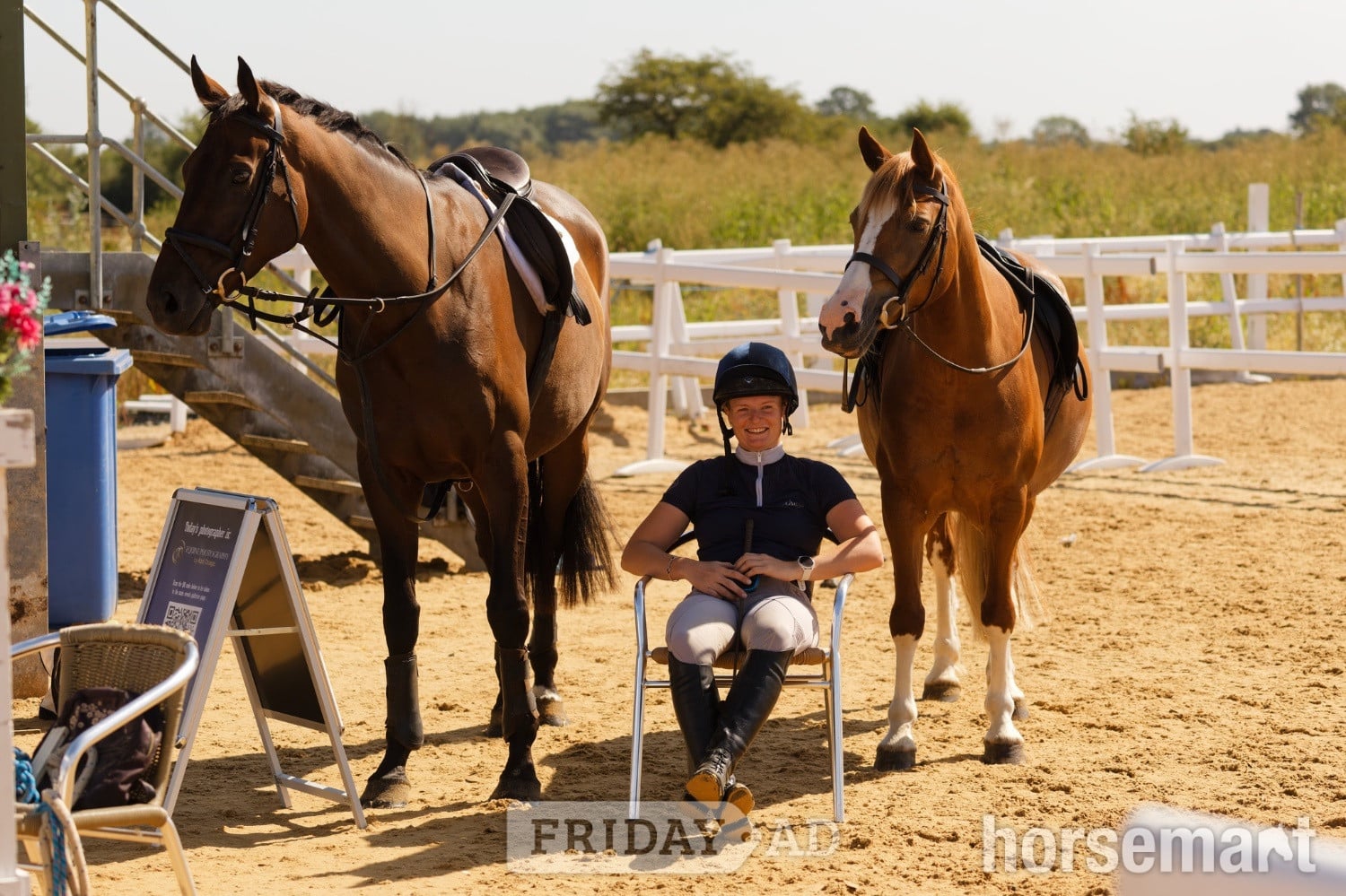 "Gettingawaywithit " Bay Gelding Ex Racehorse
