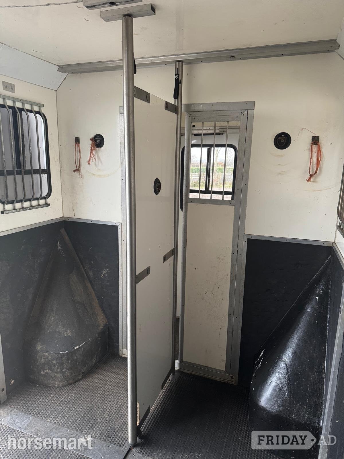 Select Pro Vauxhall Horsebox - Trailers & Horseboxes in Southwell
