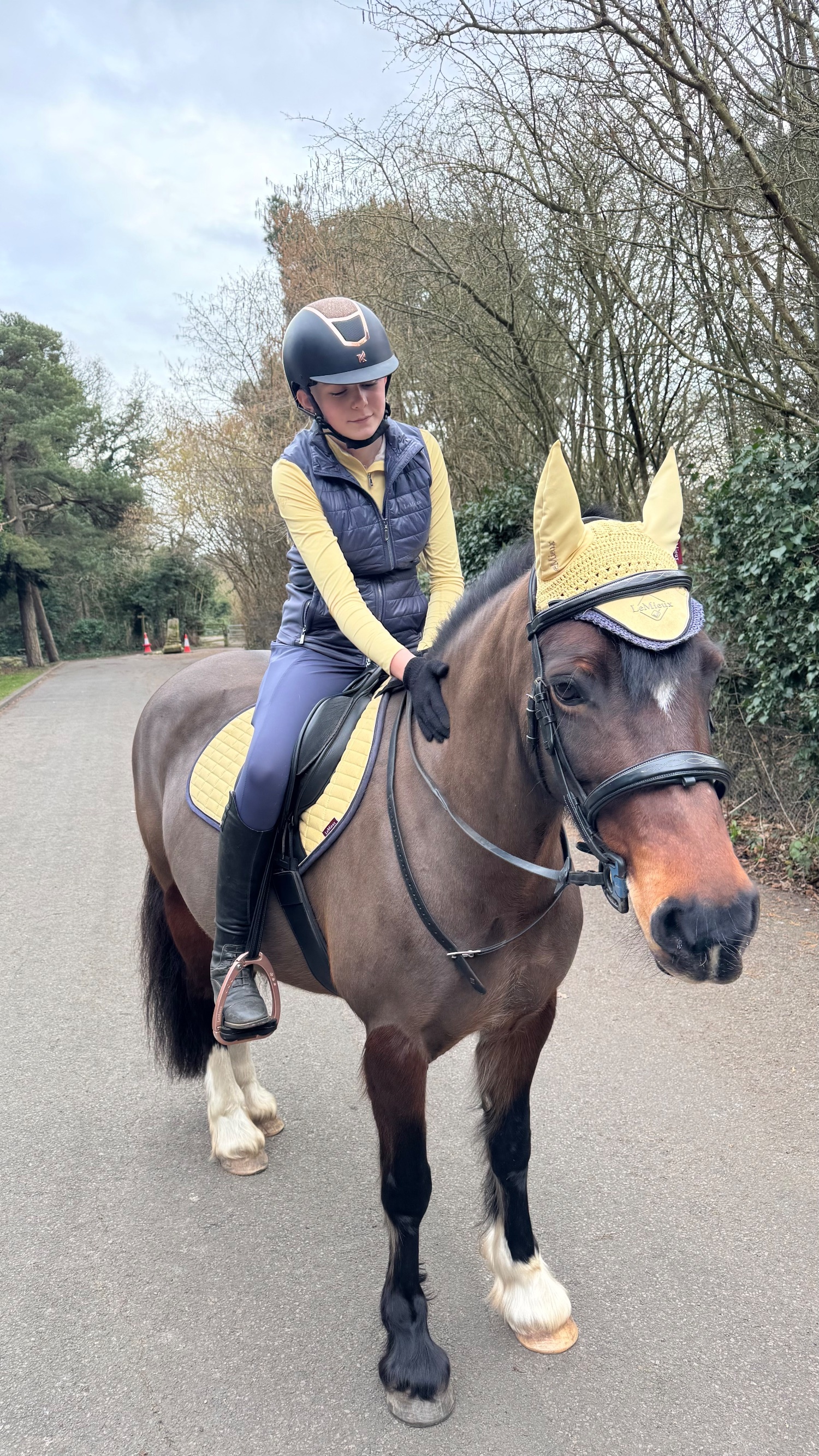 "Seren-Mai" Bay Mare All Rounder - Horses in Lea Marston