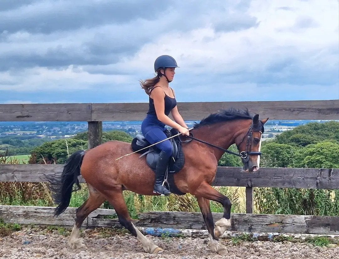 Burnley "Kengarth micky " Bay Roan Gelding Pony Club Pony