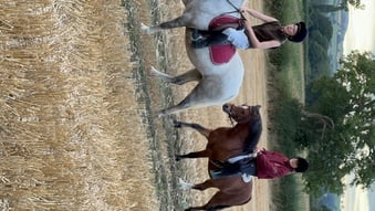 "Rusty" Bay Gelding Lead Rein/First Ridden Pony