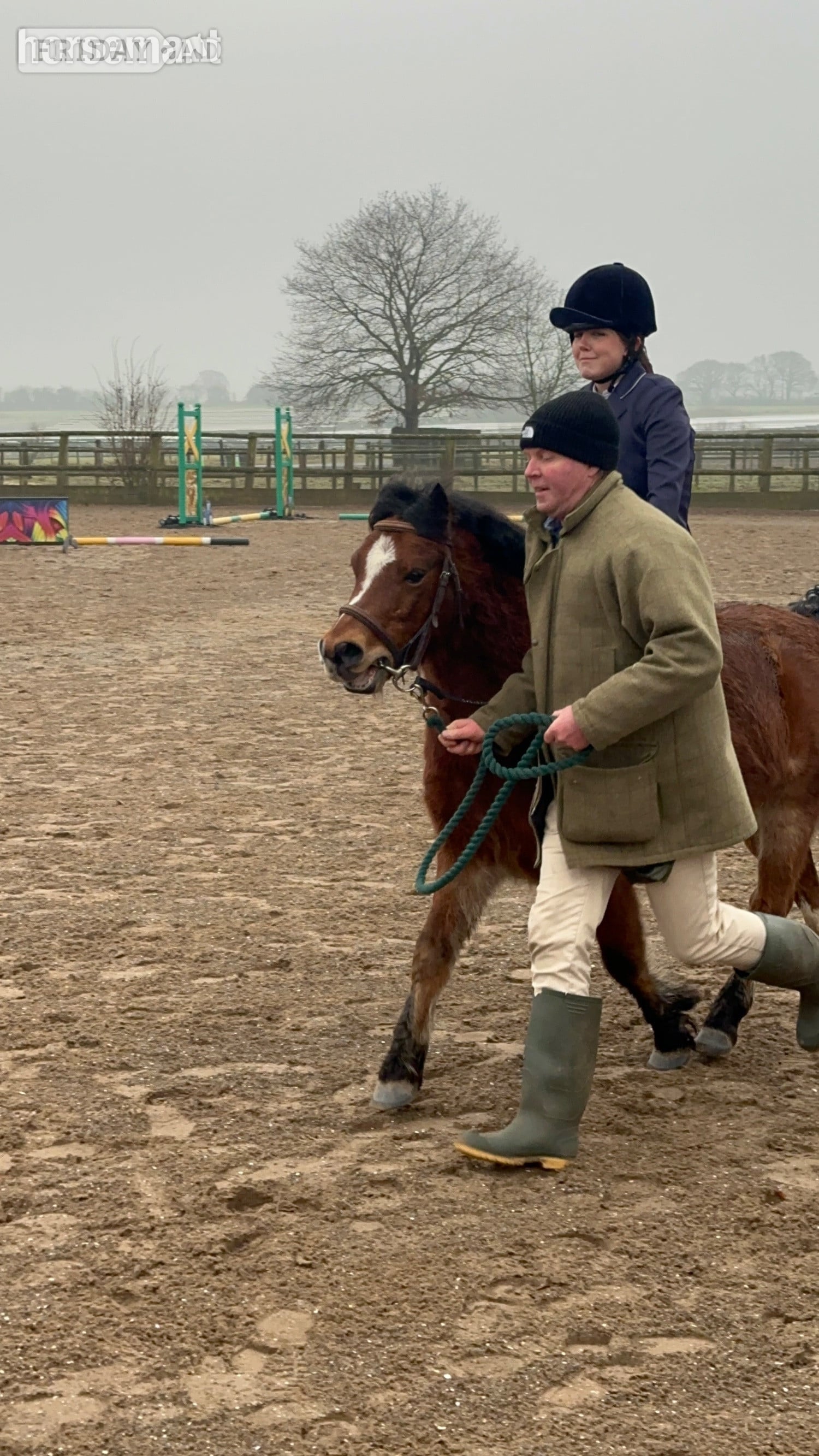 "Rusty" Bay Gelding Lead Rein/First Ridden Pony