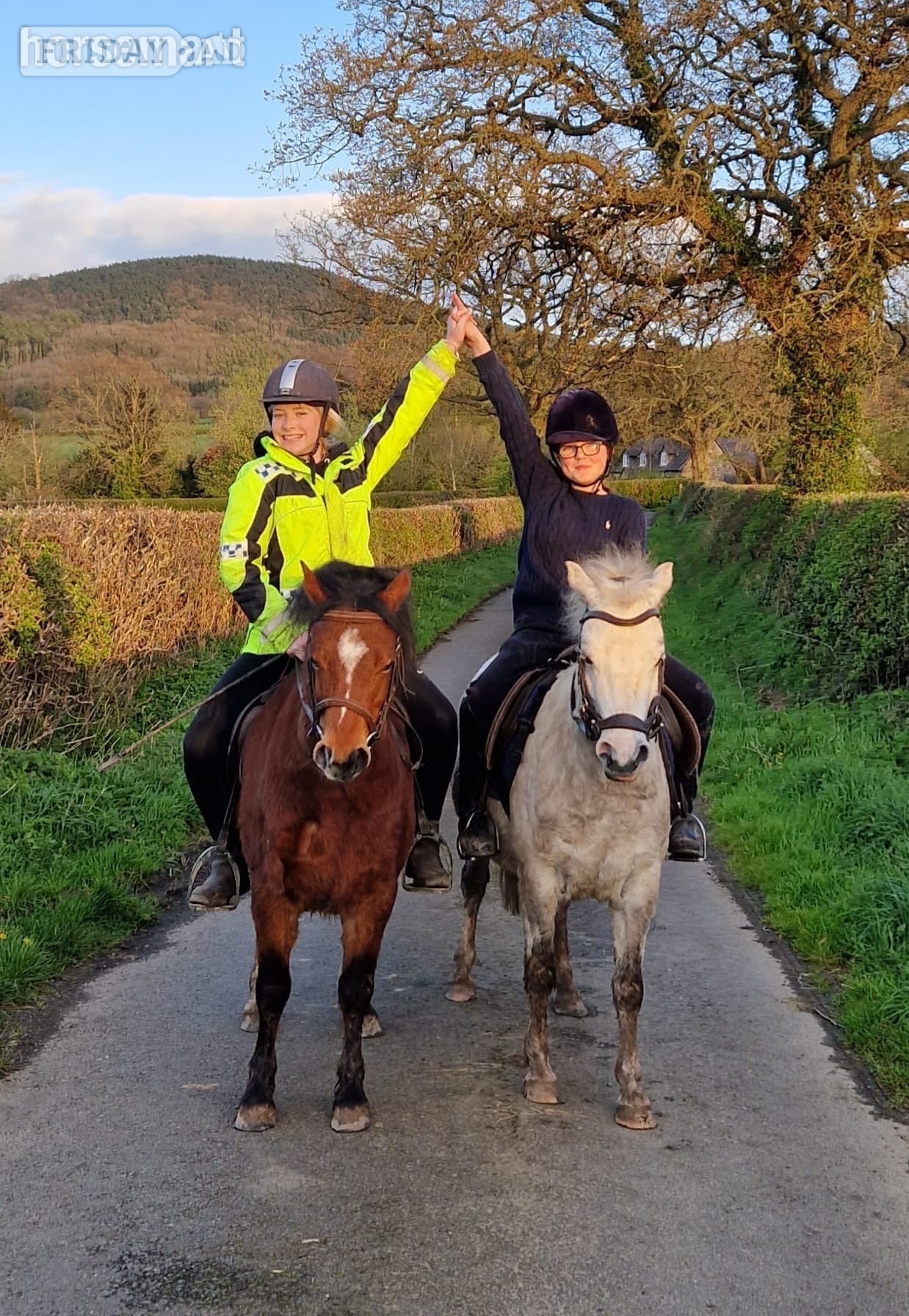 "Rusty" Bay Gelding Lead Rein/First Ridden Pony - Horses in Shrewsbury