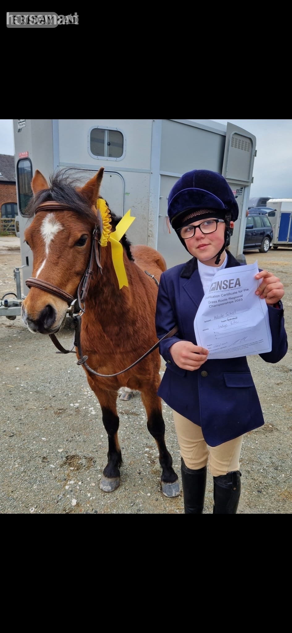 "Rusty" Bay Gelding Lead Rein/First Ridden Pony - Horses