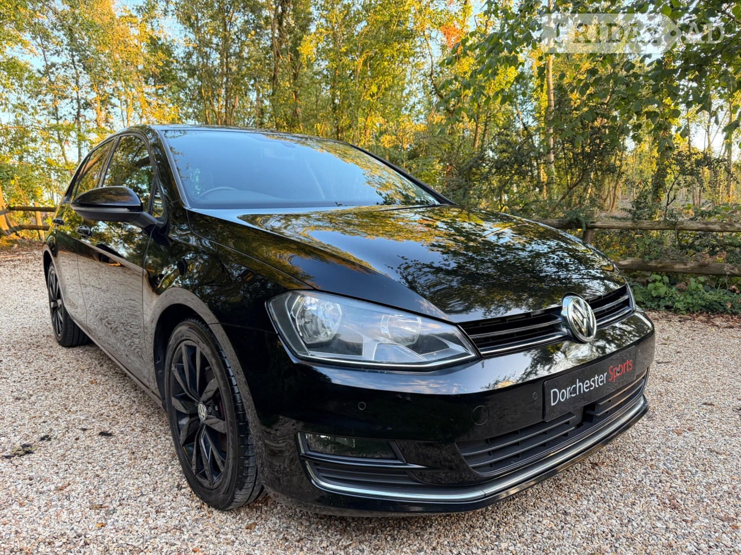 Volkswagen Golf 2013 - Cars