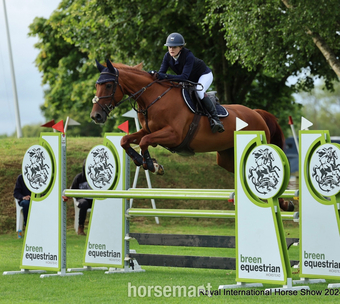 "Rosie" Chestnut Mare Schoolmaster