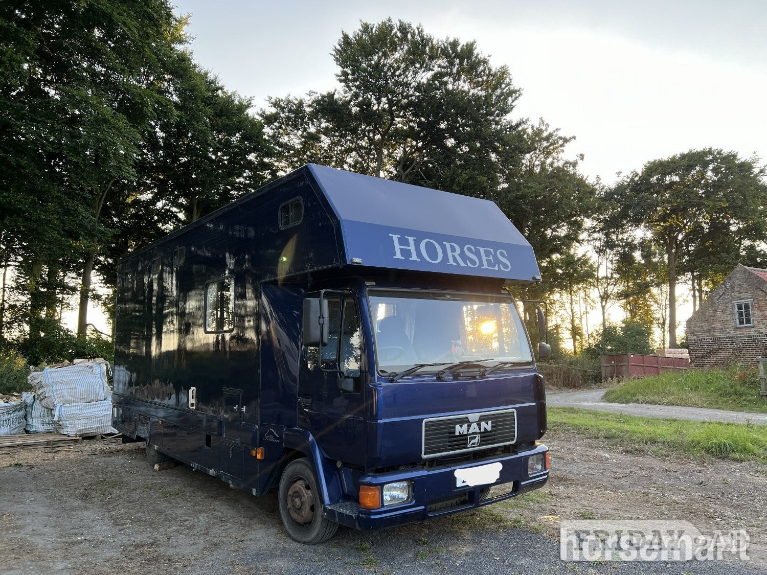Solitaire  Man Horsebox in Pocklington